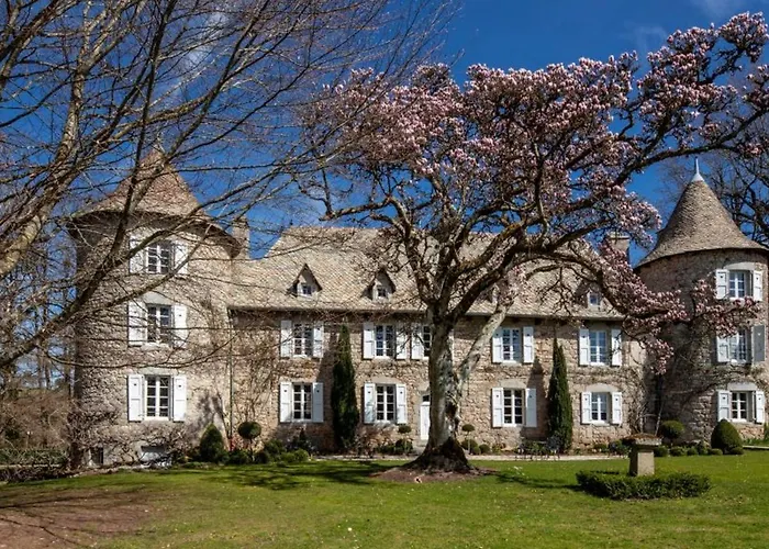 Chateau De Cols φωτογραφία