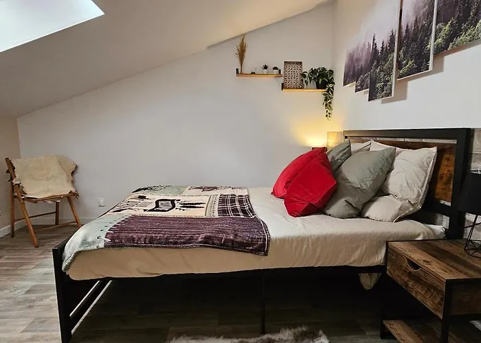 Le Petit Erable Apartment Blavozy photo