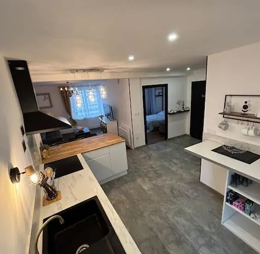 Appartement Cosy Gerzat photo