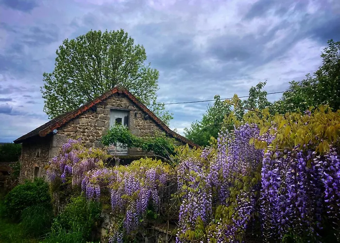 Фото Vakantiehuis In Groene Oasis Charensat