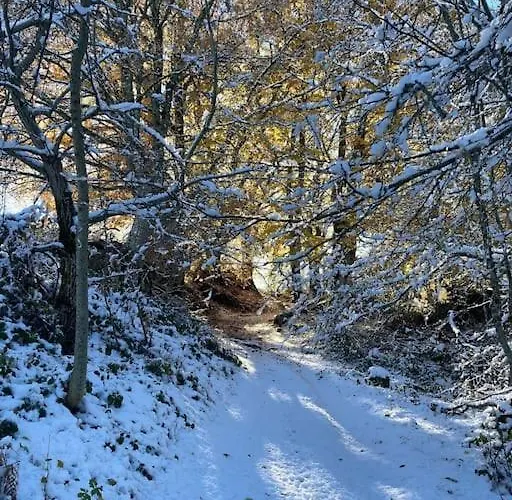 Havre De Paix Renove Avec Amour, Espace Yoga . Jou-sous-Monjou zdjęcie