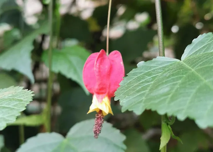 Maison Cosy Avec Cour Privative Au Coeur De L'Auvergne - Fr-1-582-316 Lempdes sur Allagnon foto