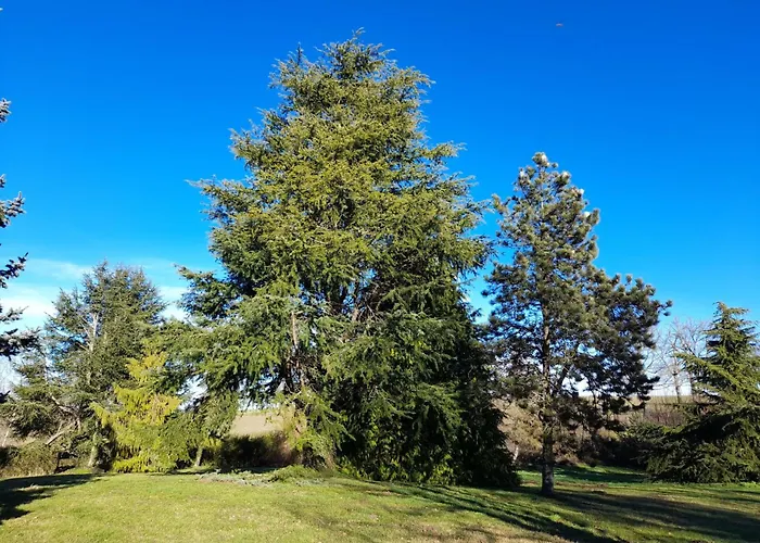fotos do Holiday Home Charmantes Haus In Der Auvergne By Interhome Ars-les-Favets