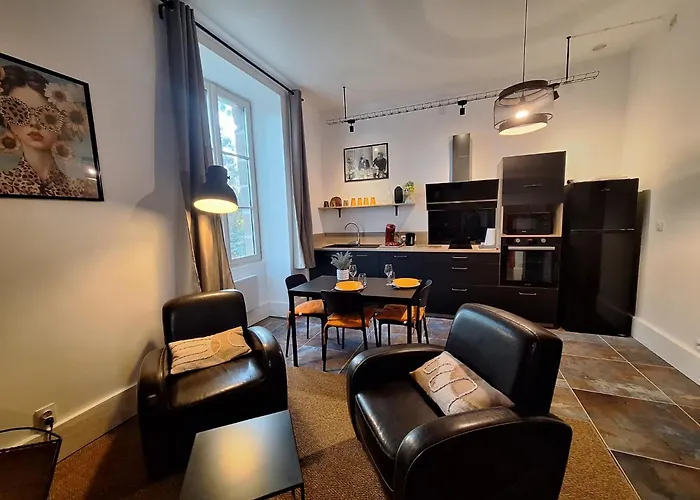 Apartamento Les Camélias, charme et jardin au coeur du Bourbonnais foto