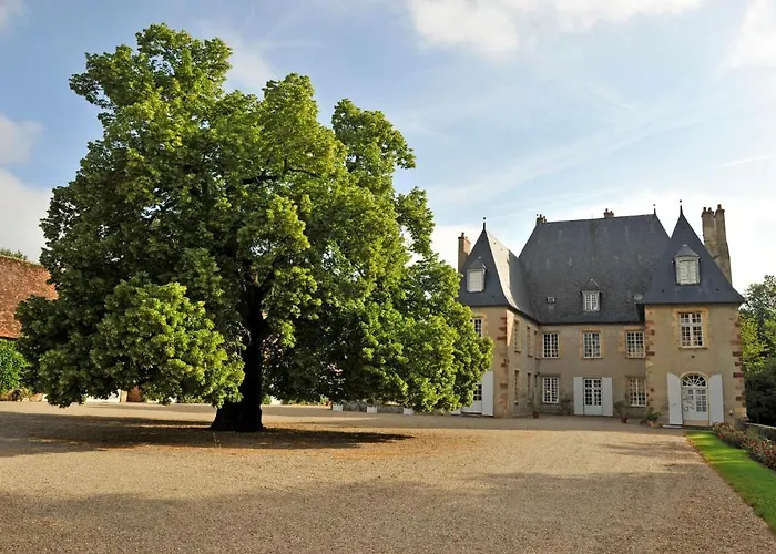 Chateau Du Riau Bed & Breakfast Villeneuve-sur-Allier photo